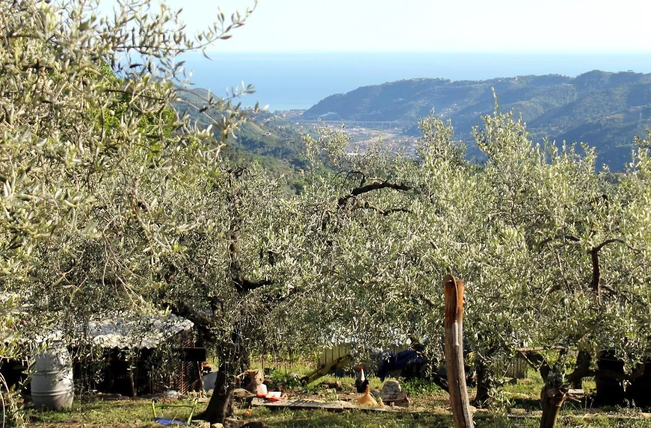 Farm stay L'Oasi Del Rossese Villa Dolceacqua